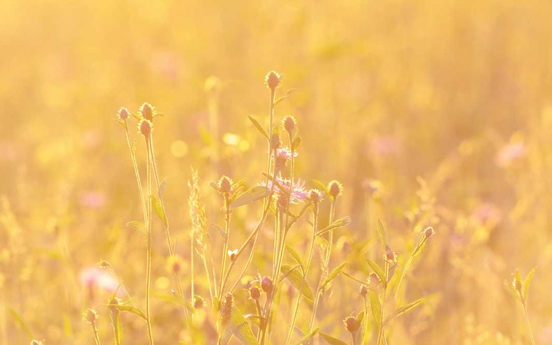 choosing your own path in life